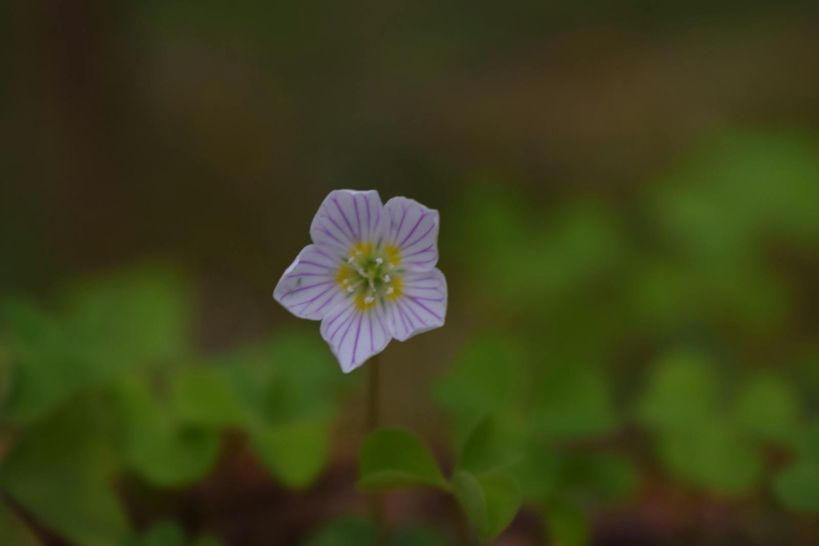 Ruce dvou lidí v gestu nabídky a přijetí